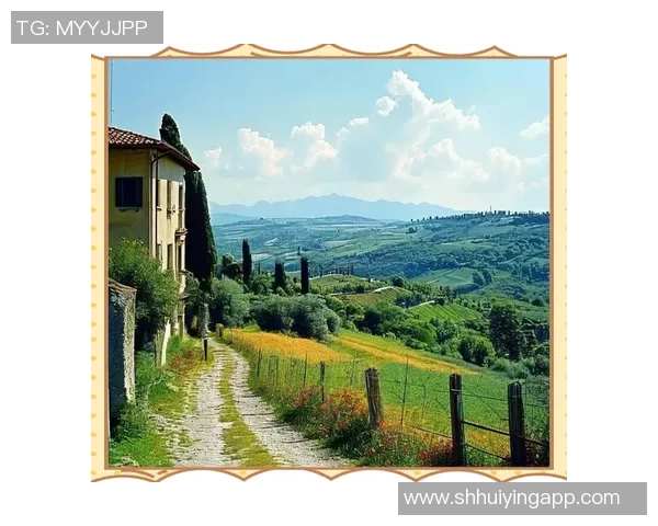 顿矿工与法兰克的对决：一场足球盛宴的激情碰撞与战术较量