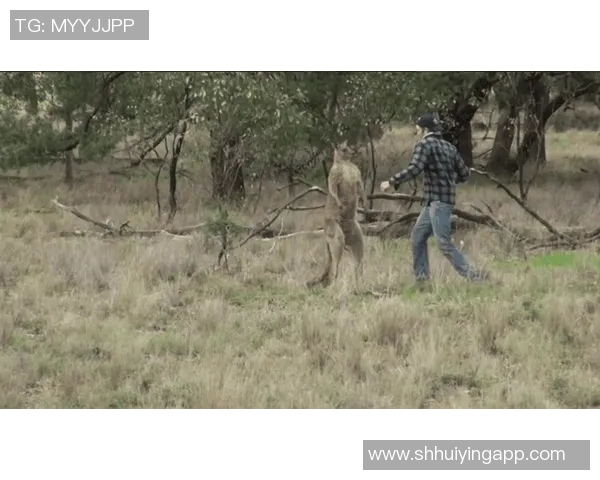 黑山与罗马尼亚激战正酣谁能在这场较量中脱颖而出